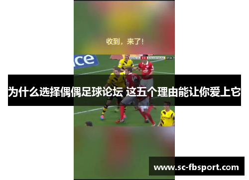 为什么选择偶偶足球论坛 这五个理由能让你爱上它