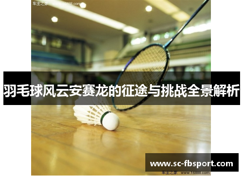 羽毛球风云安赛龙的征途与挑战全景解析