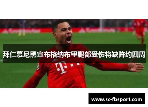 拜仁慕尼黑宣布格纳布里腿部受伤将缺阵约四周