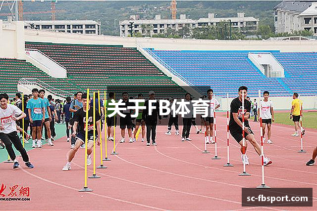 关于FB体育